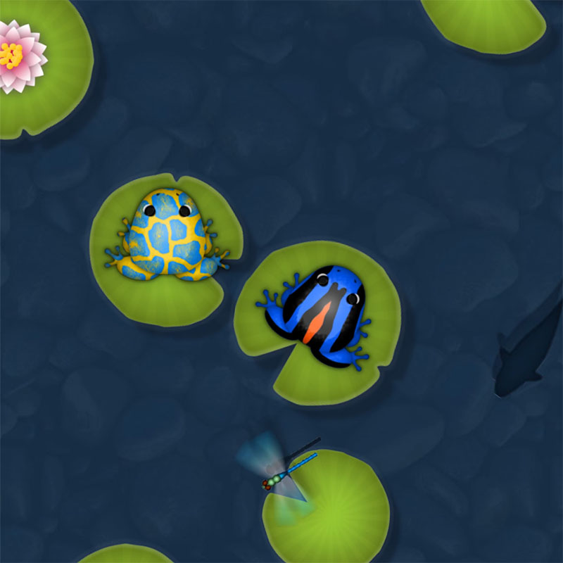 Pocket Frogs